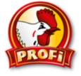 Projekt doradczy i szkolenia dla handlowców dla PROFI